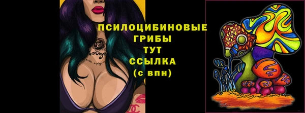 синтетический гашиш Алексеевка