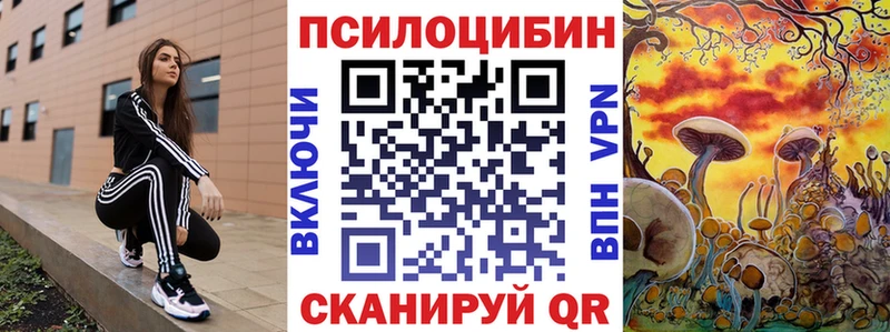 ссылка на мегу онион  Туринск  Псилоцибиновые грибы Cubensis 